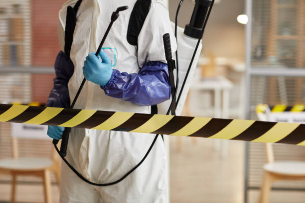 Professional Sewage Cleanup technician working in Georgetown, IL